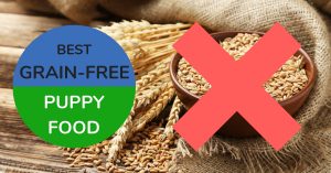 Best Grain-Free Puppy Food, crossed-out bowl of grains