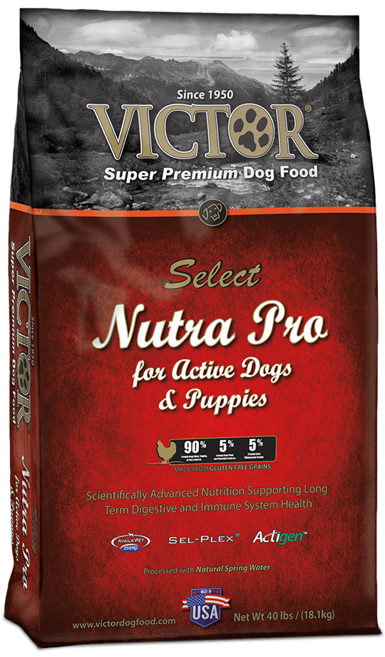 5 Best Giant Breed Puppy Food 2021 Guide And Reviews