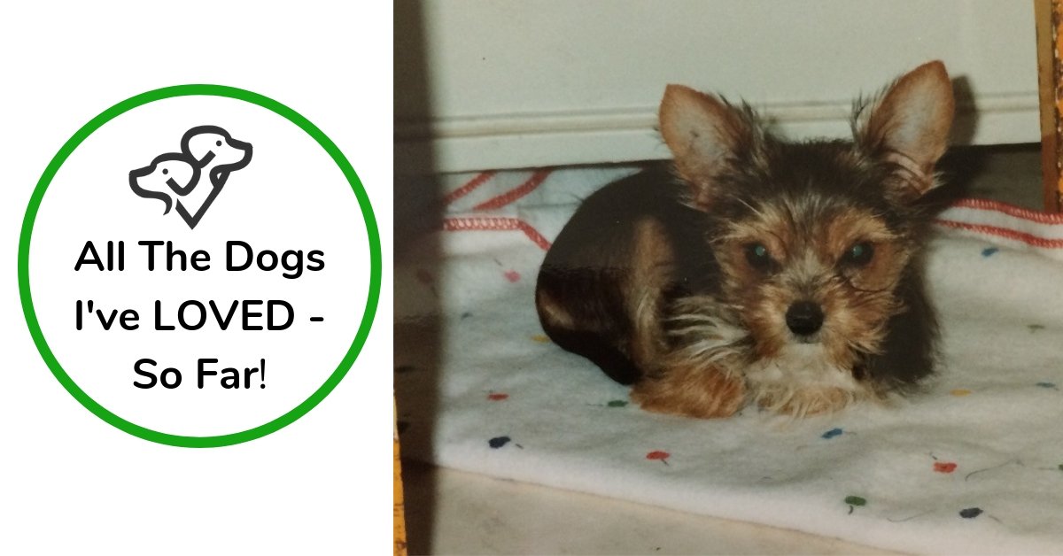 The Dogs I've Loved - So Far!