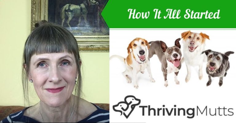 how to figure out your mutts breed