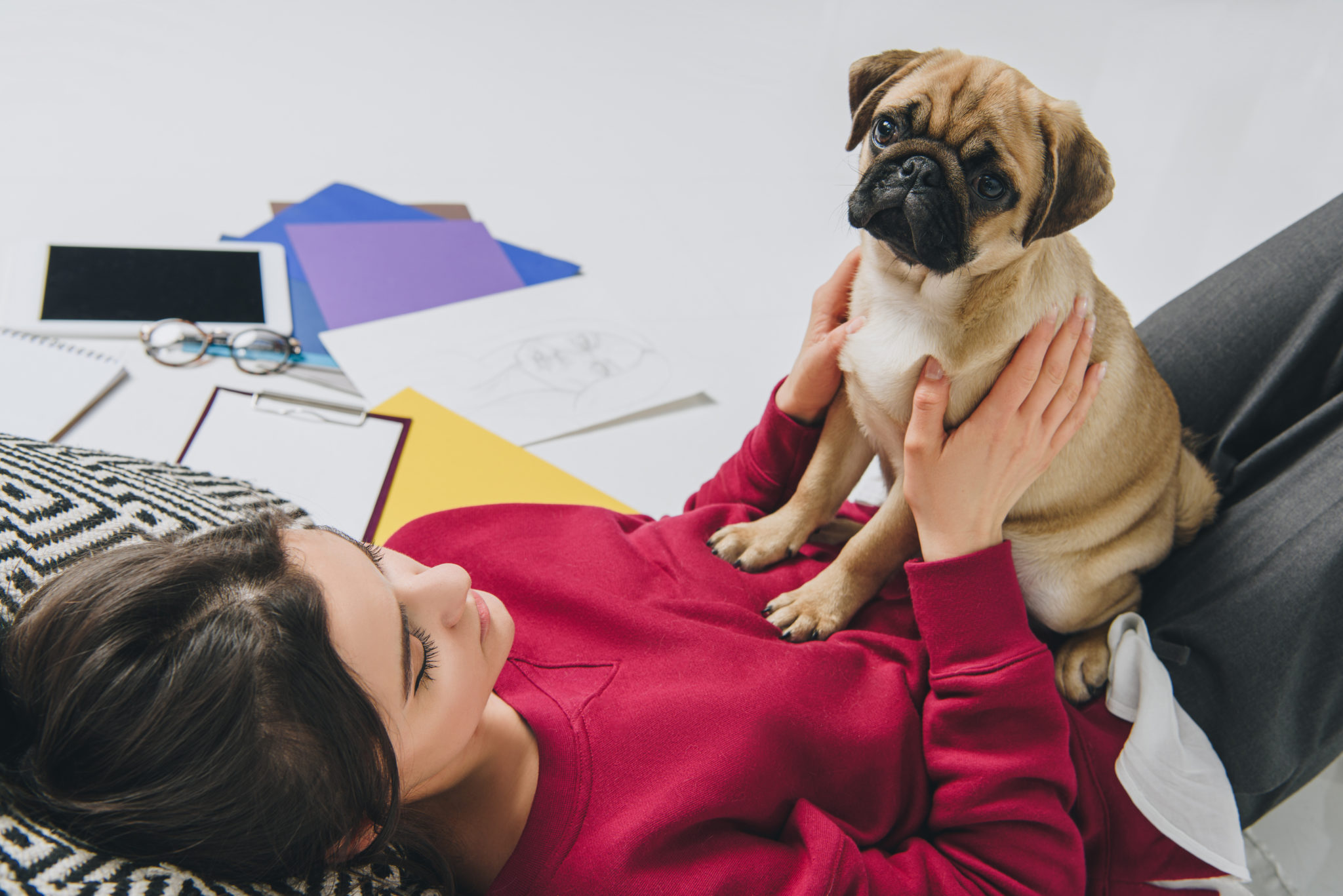 Busting Dog Listening Myths! 3 You Can't Cuddle Your Dog!