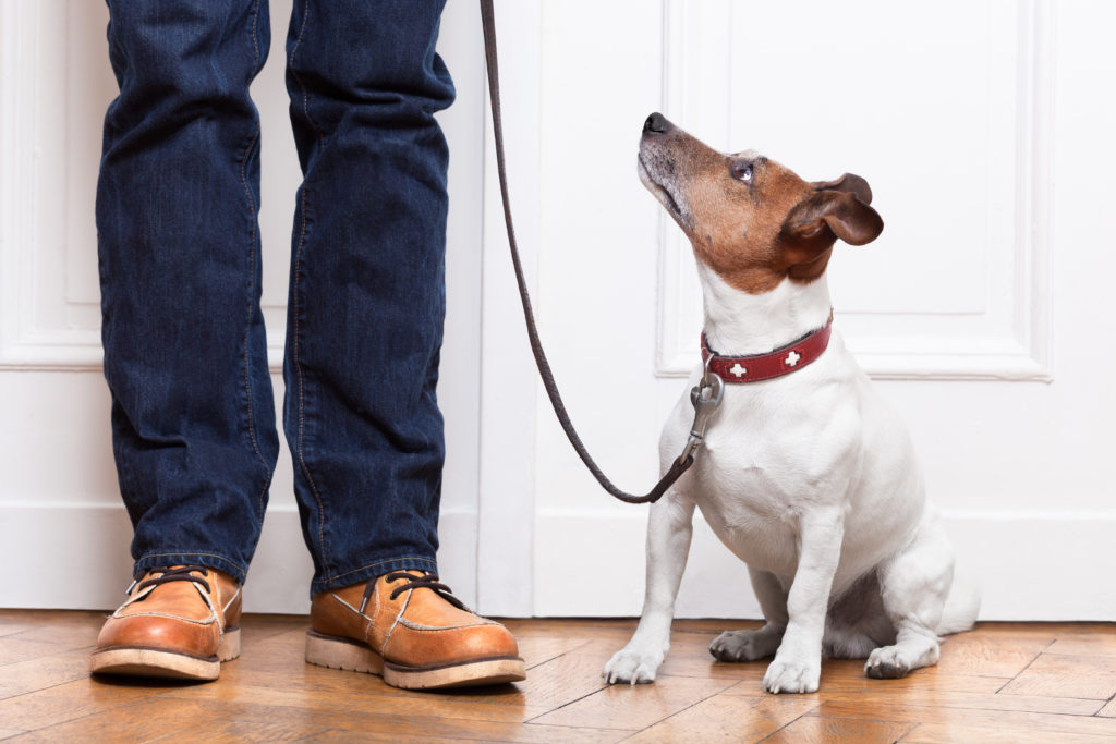 The Dog Listening method uses body language and our own behvior.