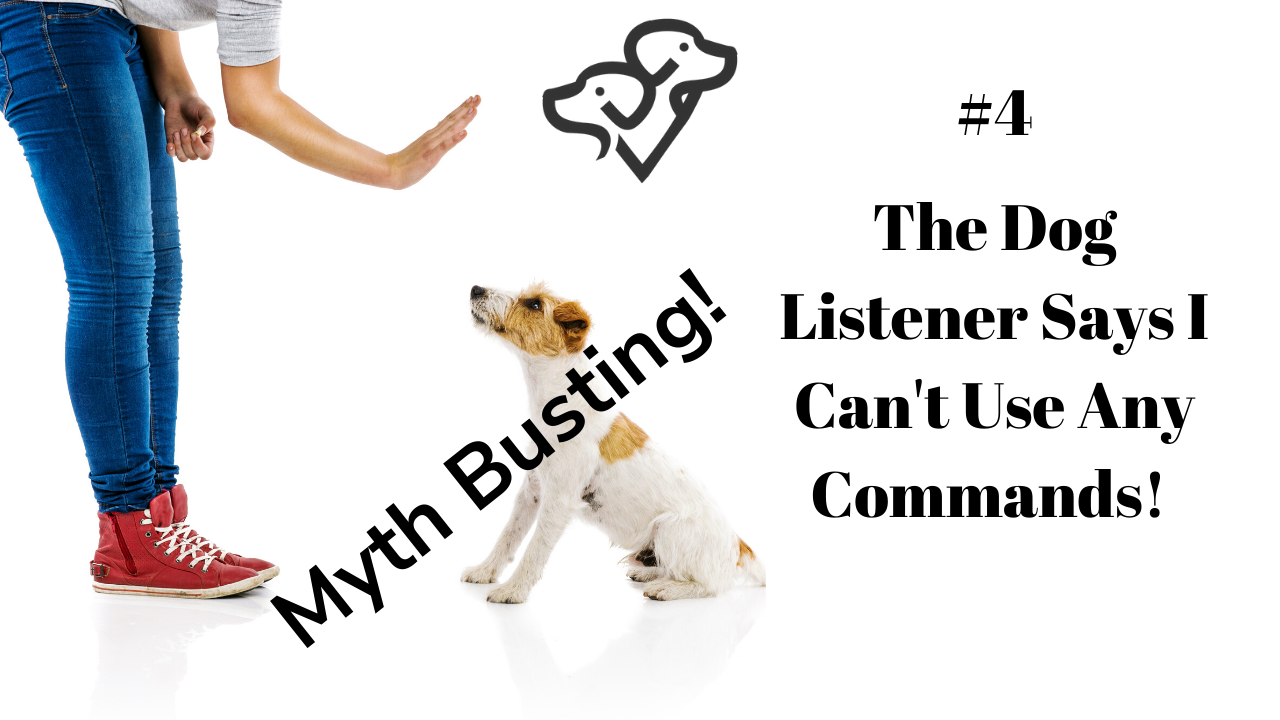 Dog Listening is all about body language and human behavior, but you can absolutely train your dog as well!