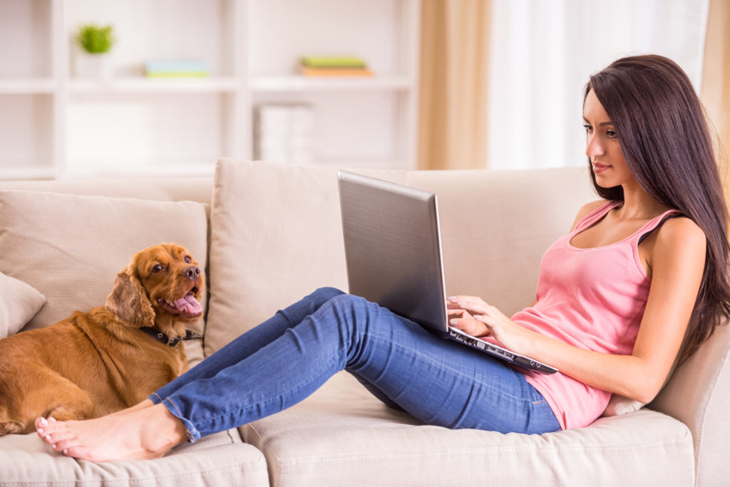 Online coaching sessions dog training